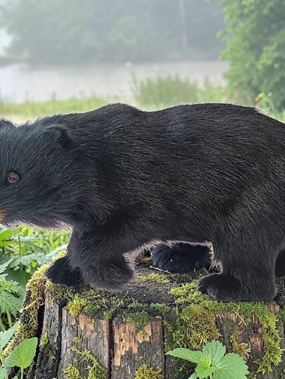 Real Fur Black Bear Figurine Figure Lodge Cabincore Decor Vintage Glass Eyes